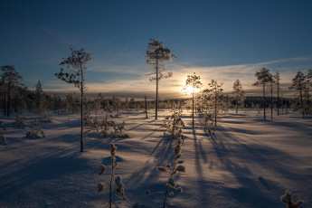 Картинка природа зима рассвет