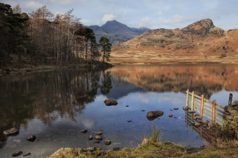 Картинка природа реки озера река лес