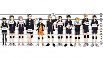 Картинка аниме haikyuu волейбол