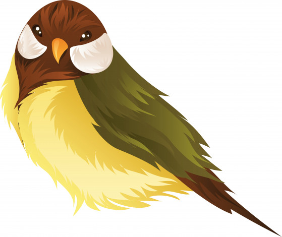 Обои картинки фото векторная графика, животные , animals, птица