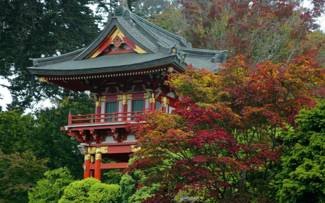 Обои картинки фото города, - буддийские и другие храмы, парк, пагода, осень, деревья