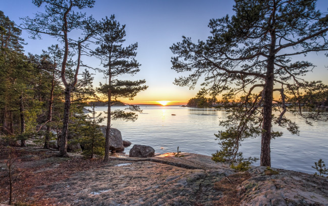 Обои картинки фото природа, реки, озера, лес, река