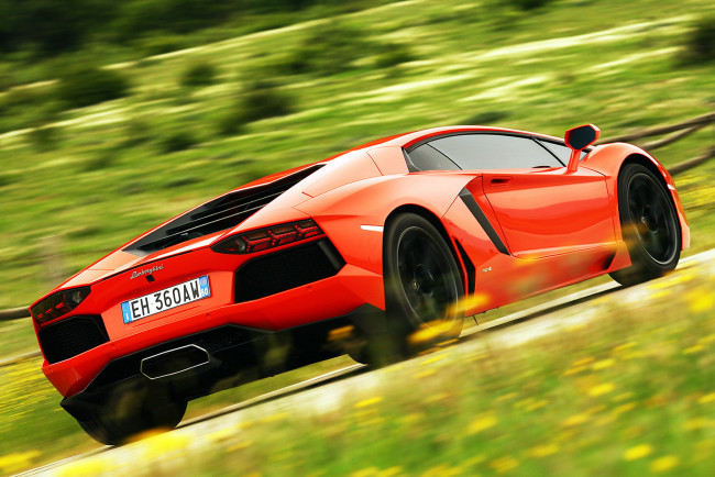 Обои картинки фото lamborghini, автомобили