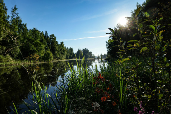 Обои картинки фото природа, реки, озера, лес, река