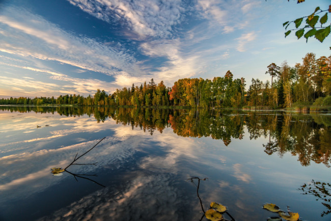 Обои картинки фото природа, реки, озера, лес, река