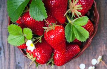 Картинка еда киви клубника ягоды