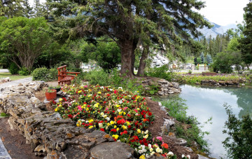 Картинка природа парк клумба водоем деревья скамейка