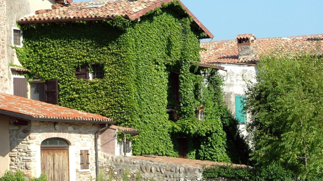 Обои картинки фото города, - здания,  дома, черепица, дом, плющ