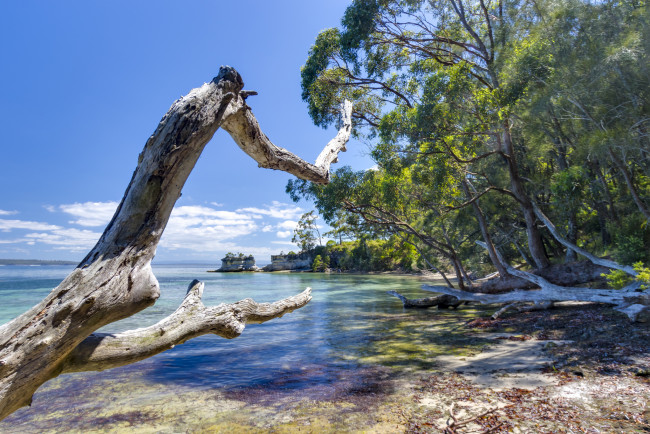 Обои картинки фото природа, побережье, простор