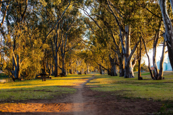 Картинка природа дороги простор