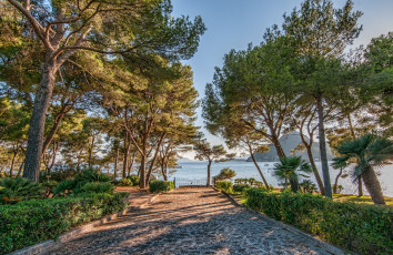 Картинка природа дороги простор