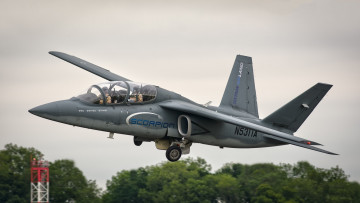 Картинка airland+scorpion авиация боевые+самолёты ввс