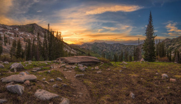 Картинка природа пейзажи простор