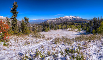 Картинка природа пейзажи простор