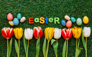 Картинка праздничные пасха тюльпаны трава весна easter colorful decoration green grass цветы flowers happy eggs яйца крашеные spring tulips