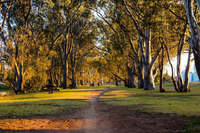 Обои картинки фото природа, дороги, простор