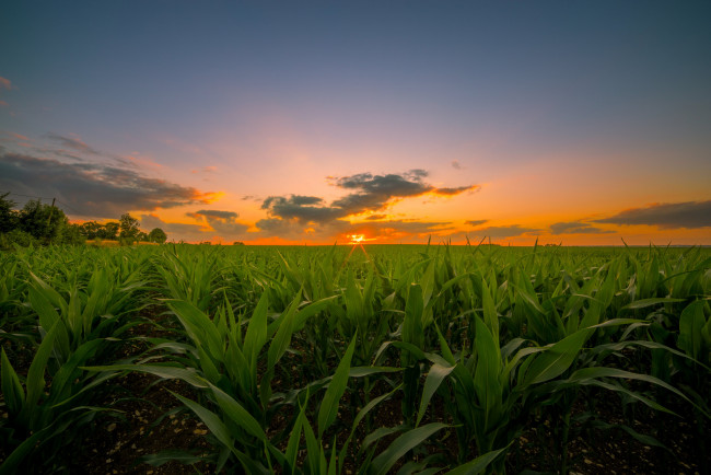 Обои картинки фото природа, поля, простор