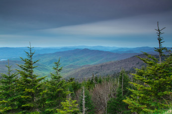 Картинка природа пейзажи простор