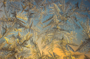 Картинка природа зима простор