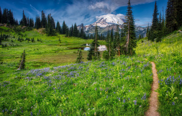 Картинка природа пейзажи простор