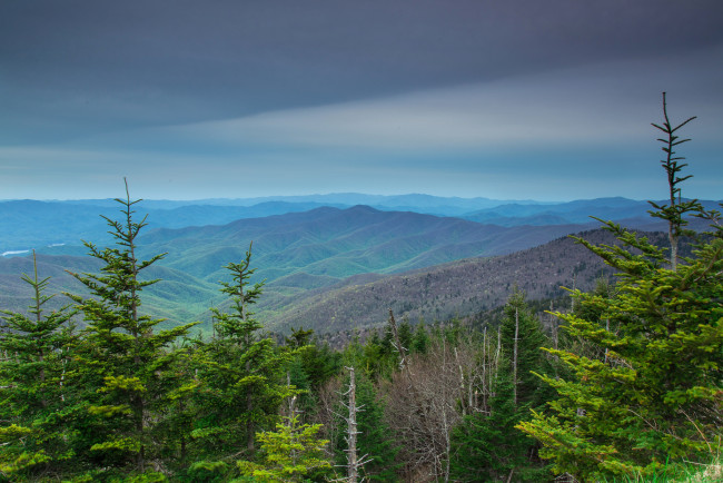 Обои картинки фото природа, пейзажи, простор