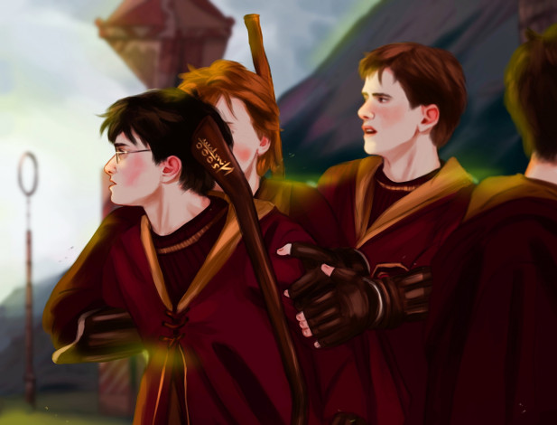 Обои картинки фото рисованное, кино,  мультфильмы, гарри, поттер, команда, форма, квиддич