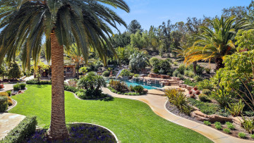 Картинка природа парк пальмы водоем аллея