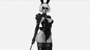 Картинка видео+игры nier +automata automata