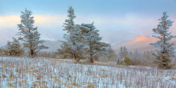 Картинка природа зима