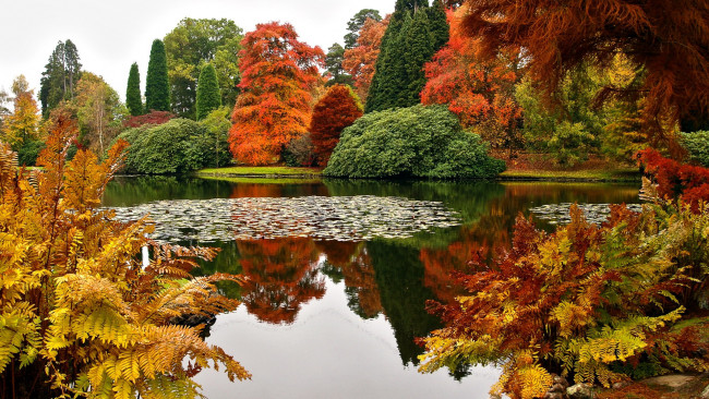 Обои картинки фото sheffield park garden, uk, природа, парк, sheffield, park, garden