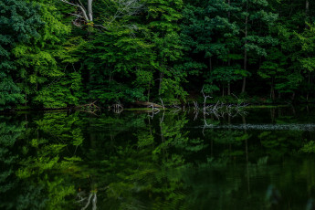 Картинка природа реки озера озеро