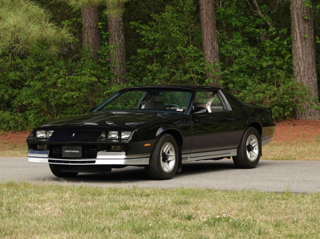 Обои картинки фото автомобили, camaro