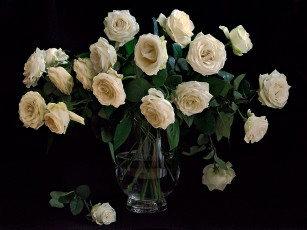 Картинка цветы розы