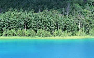 Картинка природа