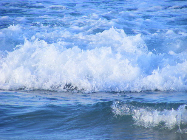 Обои картинки фото 