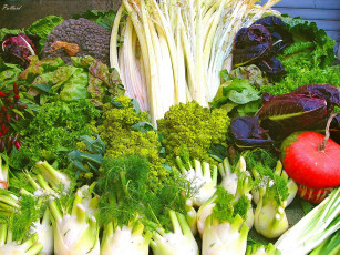 Картинка еда овощи