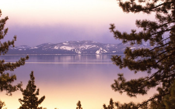 Картинка природа