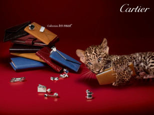 обоя cartier, бренды