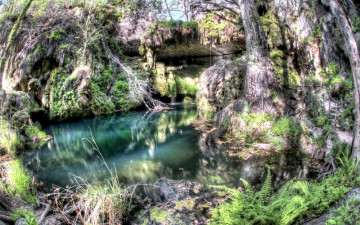 Картинка природа реки озера