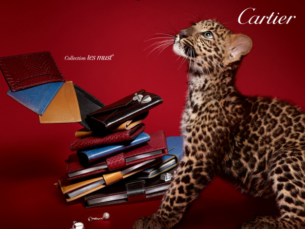 Обои картинки фото cartier, бренды