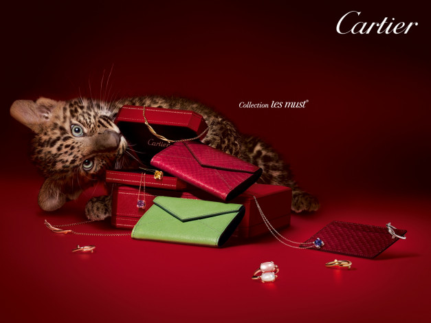 Обои картинки фото cartier, бренды