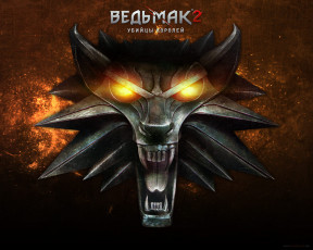 Картинка the witcher assassins of kings видео игры