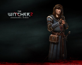 Картинка the witcher assassins of kings видео игры