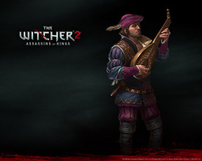 Картинка the witcher assassins of kings видео игры