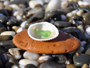 Картинка авт jenia разное ракушки кораллы декоративные spa камни