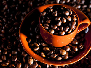 Картинка еда кофе кофейные зёрна