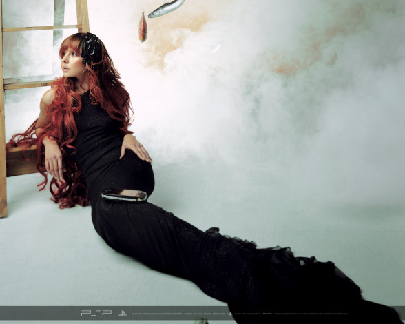 Обои картинки фото playstation, portable, бренды, sony