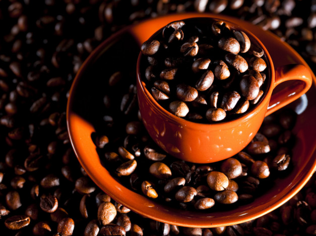 Обои картинки фото еда, кофе, кофейные, зёрна
