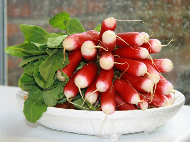 Обои картинки фото еда, редис, репа, редька