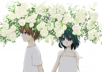 Картинка аниме dyurarara durarara heiwajima shizuo awakusu akane